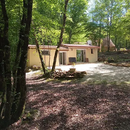 La Borie Du Bois Sarlat Holiday home *